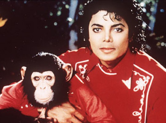 Вайтити поработает над проектом о шимпанзе Майкла Джексона